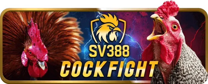 Biểu tượng tỷ lệ trả thưởng cao và công bằng tại 789win1 win